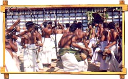 Cochin Culture