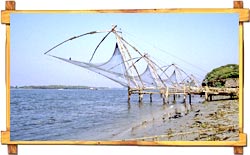 Chinese Fishing Nets